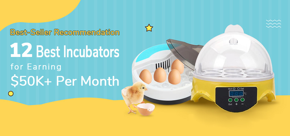 best incubators for 50k per month cover