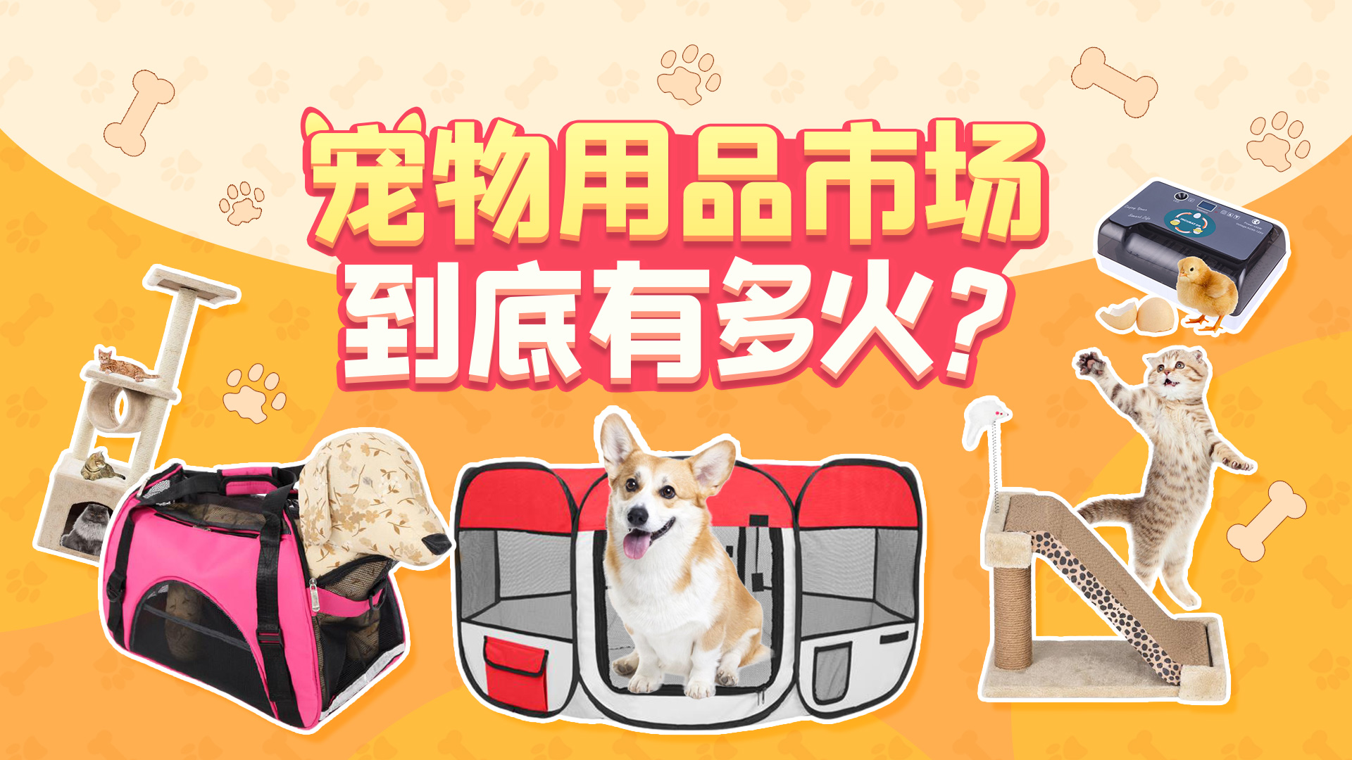 宠物用品市场到底有多火？