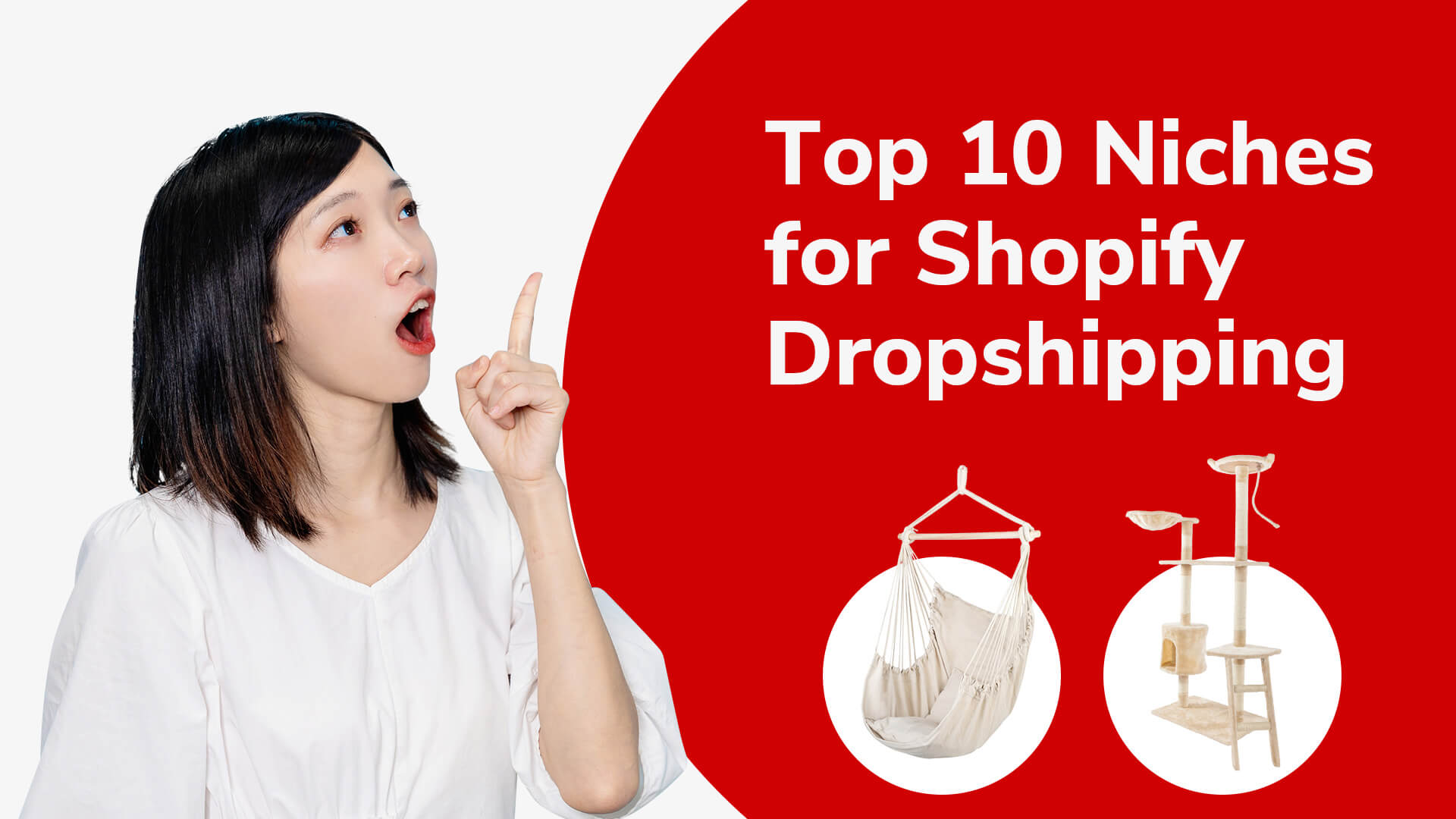 Top 10 Niches for Shopify Dropshipping (2022)