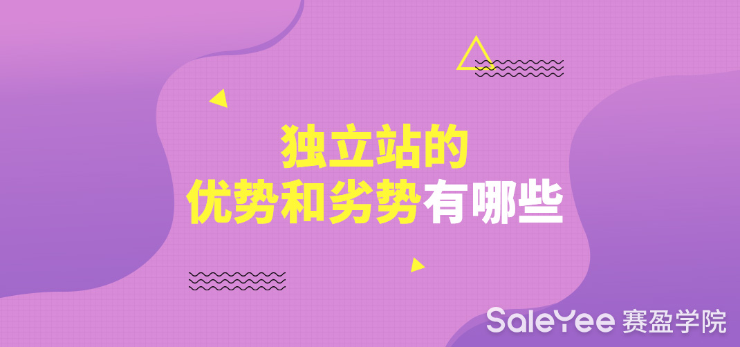 跨境独立站的优势和劣势有哪些？