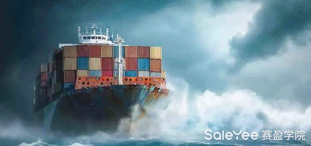 赛盈商品 | 美国旺季提前开启，卖家借Tik Tok流量在亚马逊起飞的机会来了！