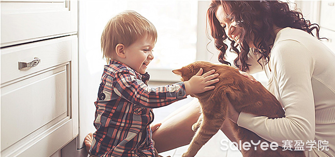 赛盈商品 | 卖家转入宠物赛道，顺势冲上亚马逊类目第一！