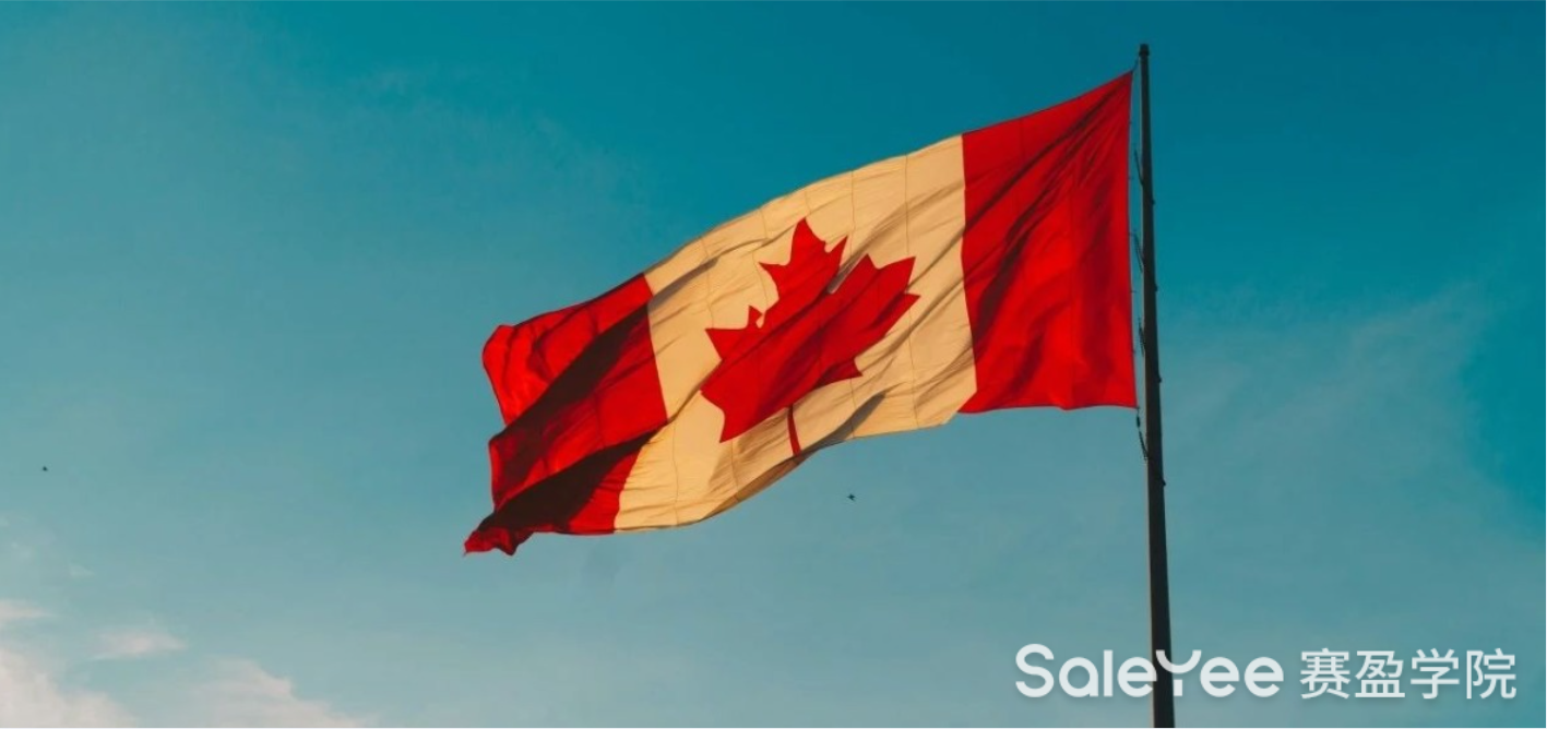 赛盈洞察 | 市值674亿美元！关税风暴下的新蓝海：中国卖家如何掘金加拿大？