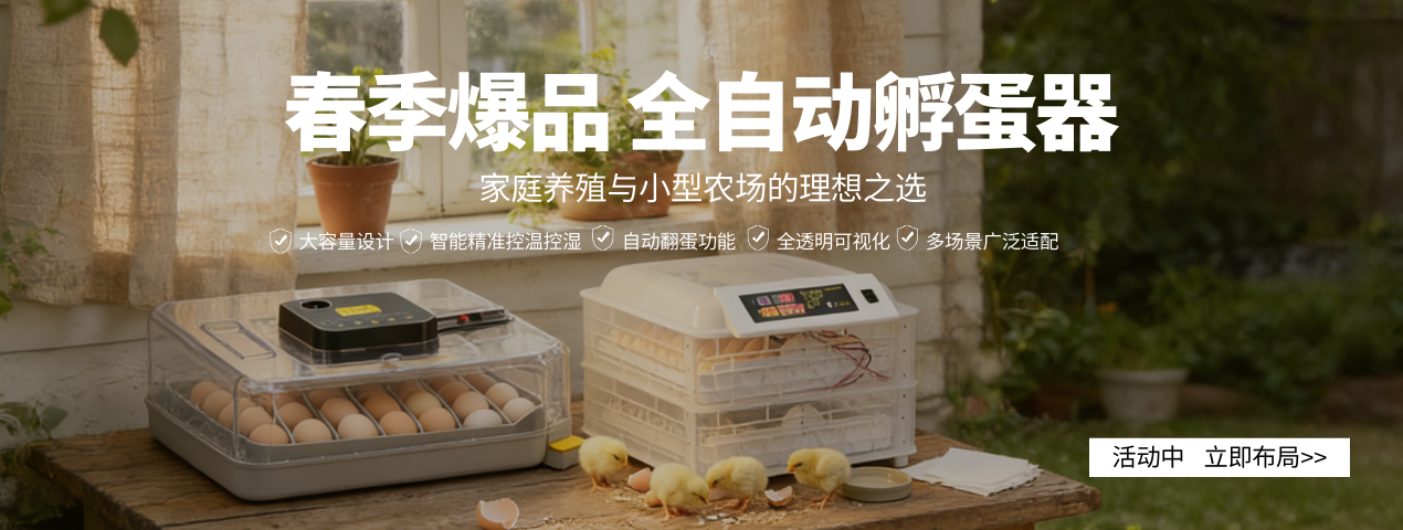 跨境春季爆品 孵化器孵蛋器